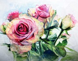 2022-11 Rosa Rosen
